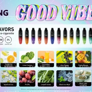 正品崧song 崧炮d60 渐变色6000口一次性电子烟 多口味可选