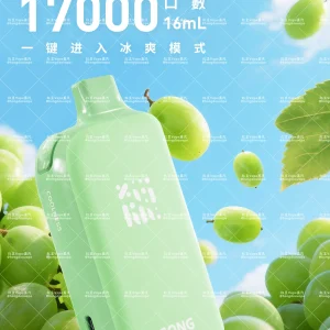 正品song崧a38冰果系列17000口一次性电子烟 冰感自定义 多口味可选