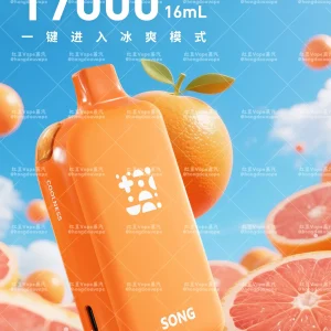 正品song崧a38冰果系列17000口一次性电子烟 冰感自定义 多口味可选