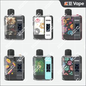 崧 Song A29 一次性电子烟 包装总览 图