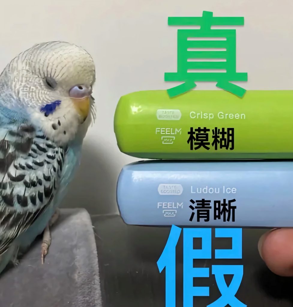 雪加鸭嘴兽真假验证FEELM字体的印刷精细度